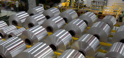 Shandong Hongxin International Trade Co., LTD. производственная линия завода