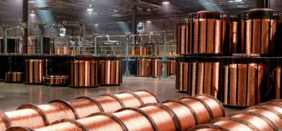 Shandong Hongxin International Trade Co., LTD. производственная линия завода